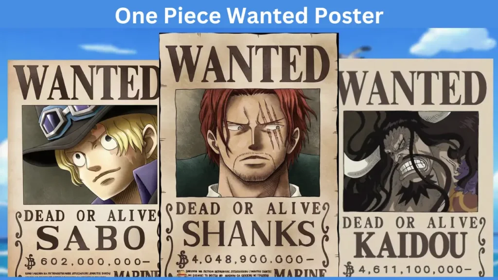 one piece wanted poster